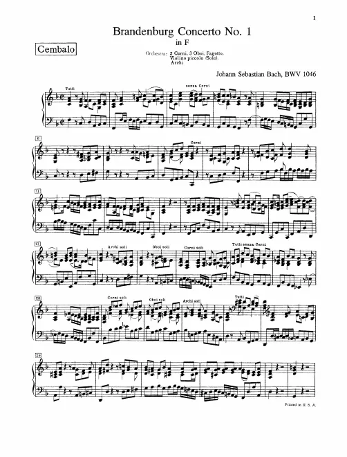 Continuo (Harpsichord)
