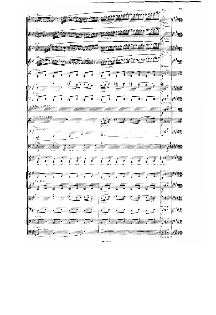 Segment 3