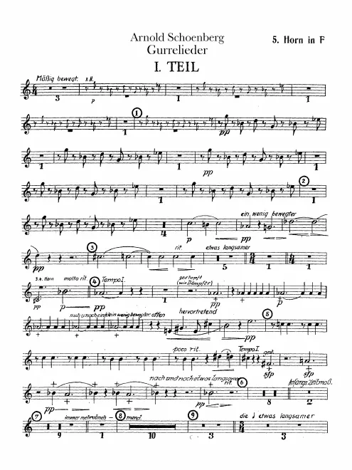 Horn 5 (F)