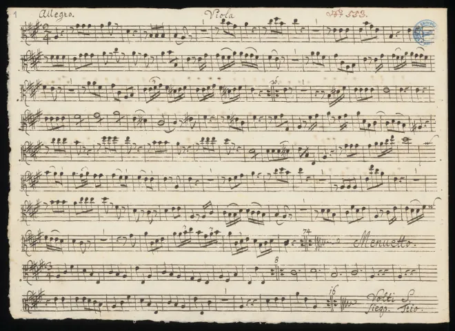 Viola