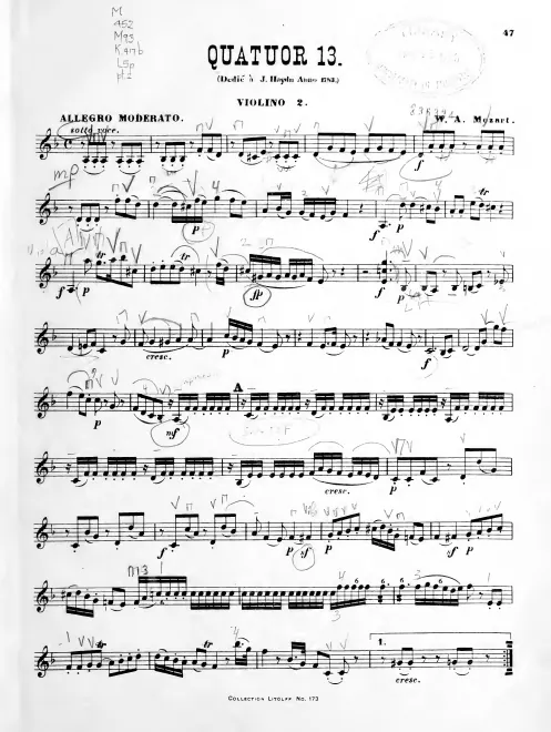 Violin 2