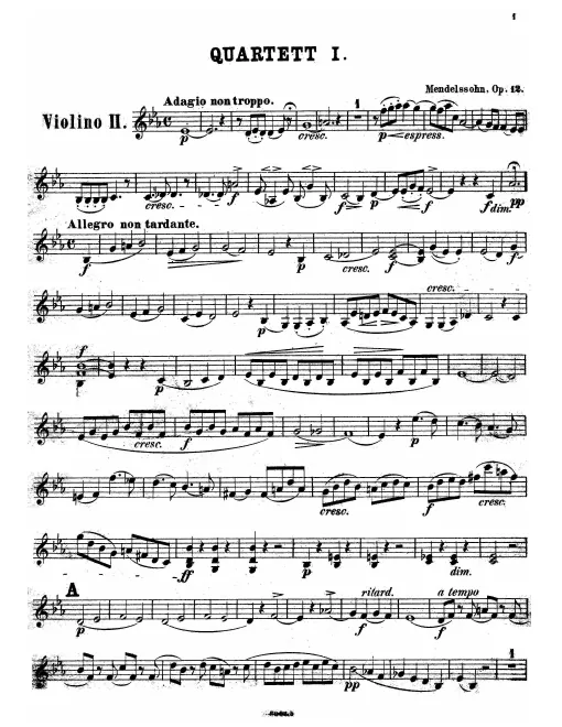 Violin 2