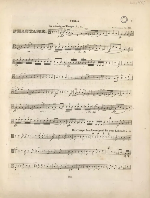 Violas