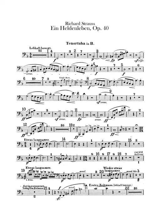 Tenor Tuba (Euphonium) (B)