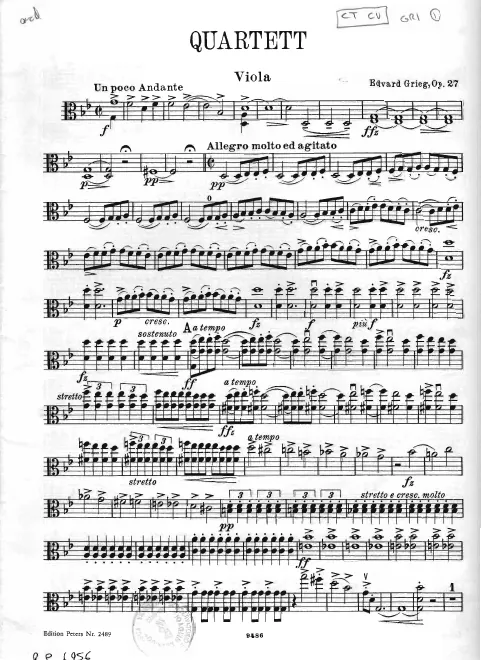 Viola