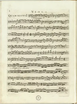 Viola