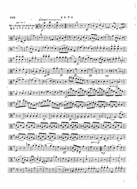 Viola