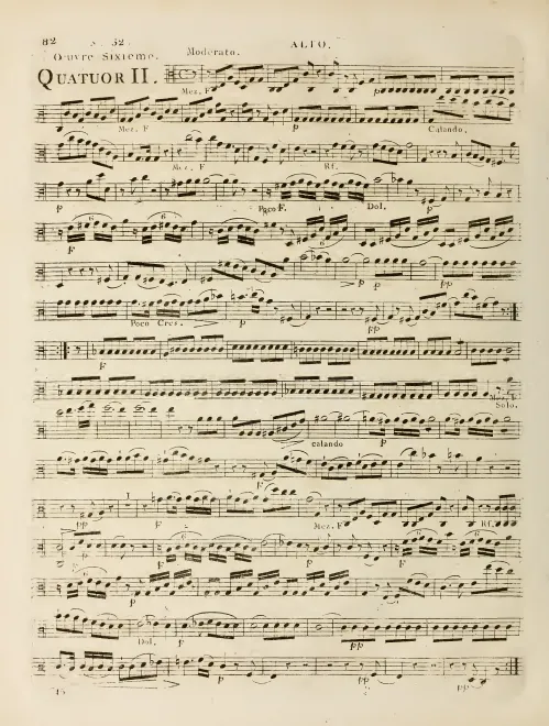 Viola