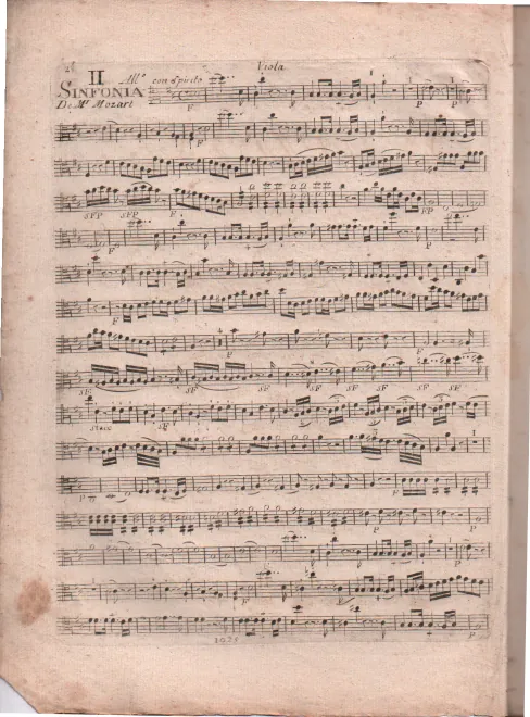 Violas
