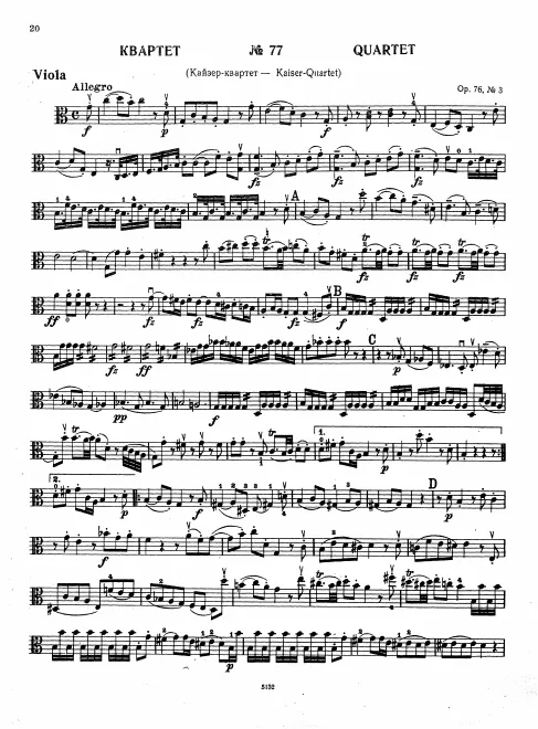 Viola