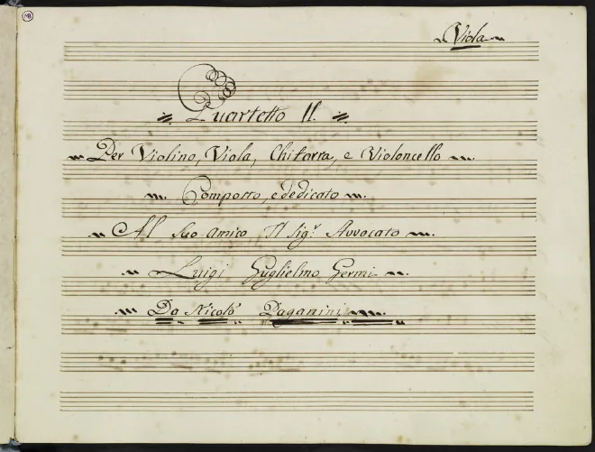 Viola
