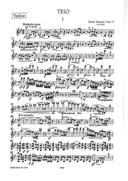 Violin