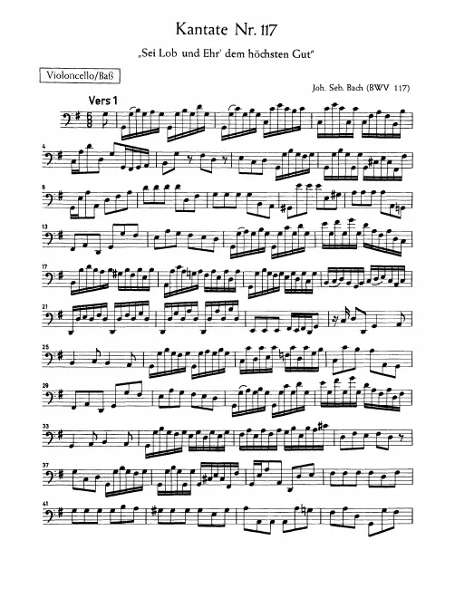 Cellos/Basses