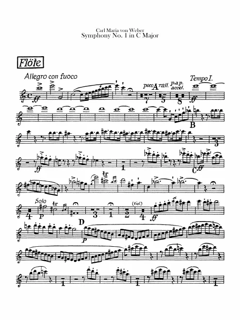 Flute