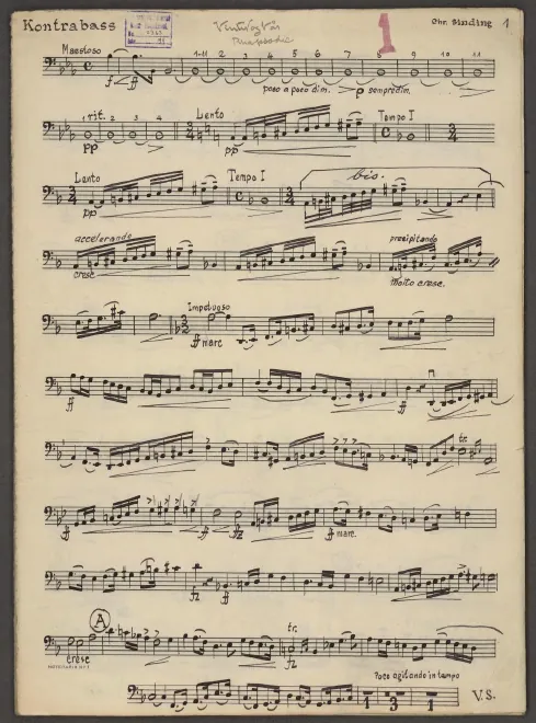 Basses