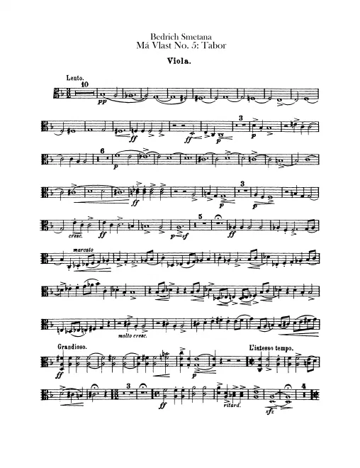 Violas