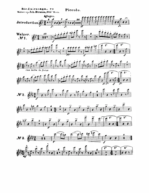 Piccolo, Flute