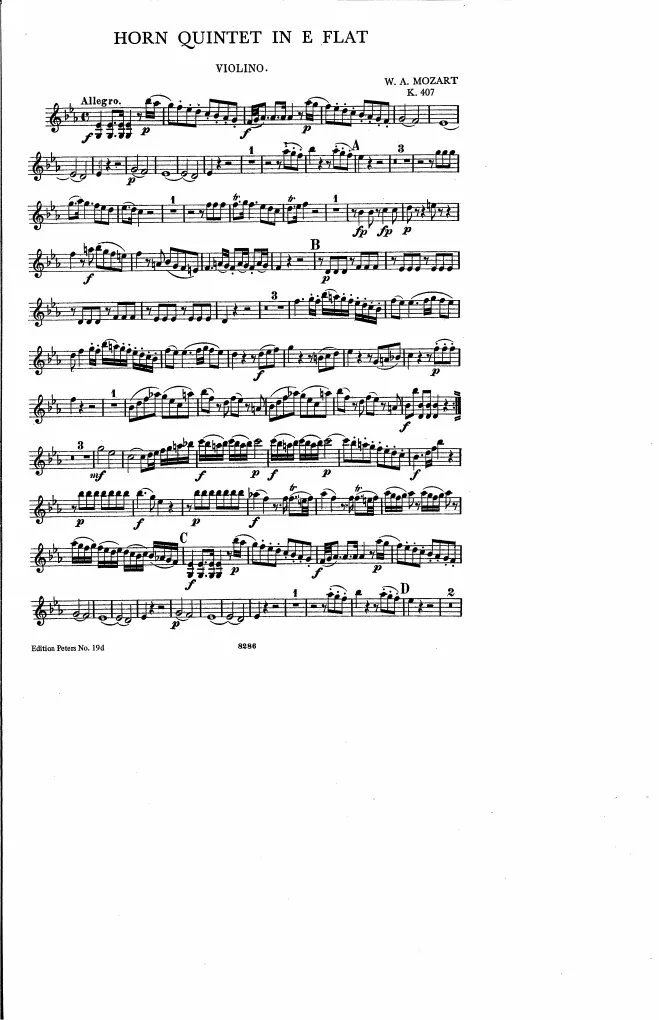 Violin