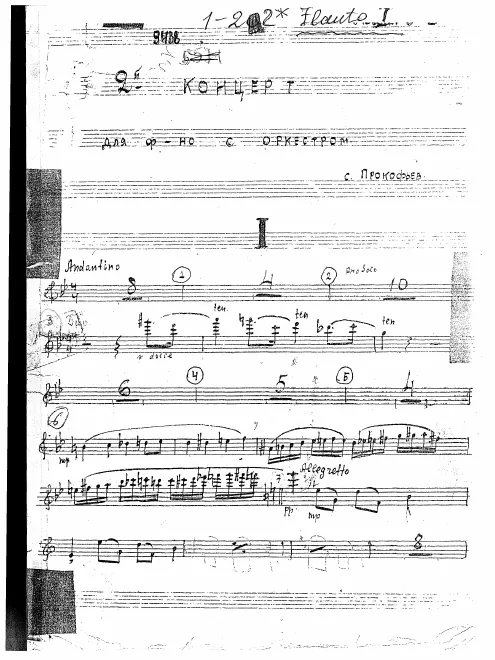 Flute 1
