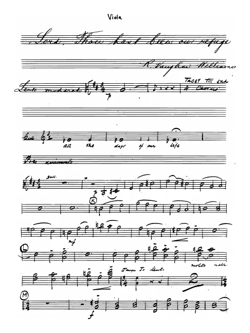Violas