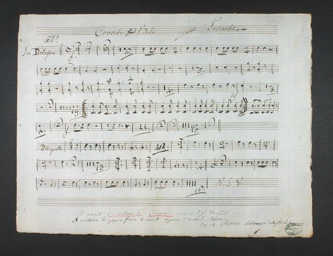 Trumpet (D)