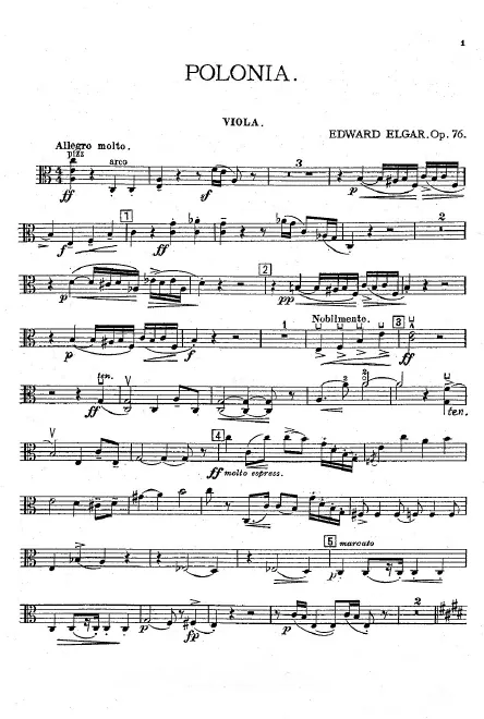Violas