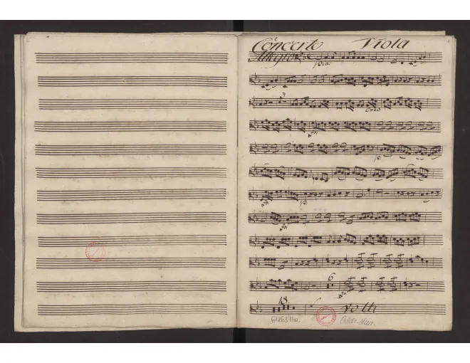 Violas