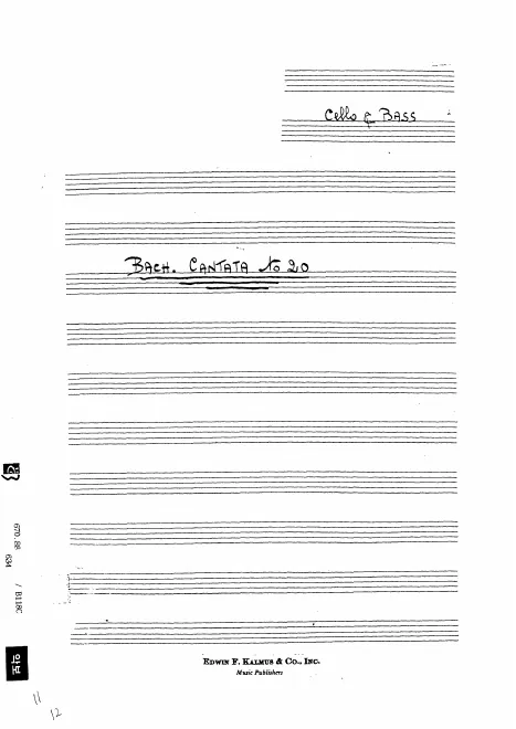Cellos/Basses