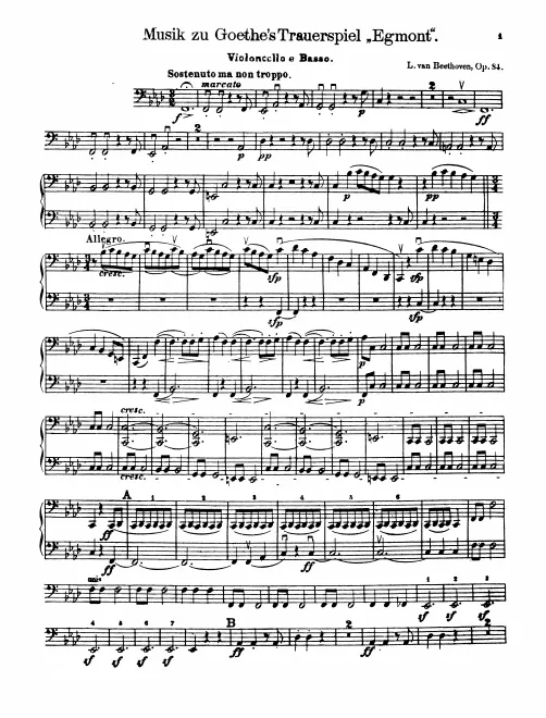 Cellos/Basses