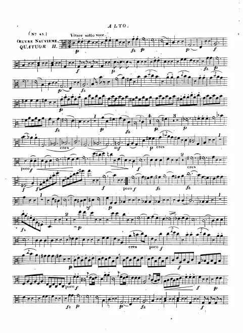 Viola