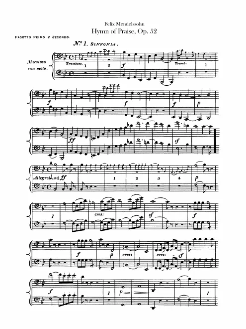 Bassoon 1/2