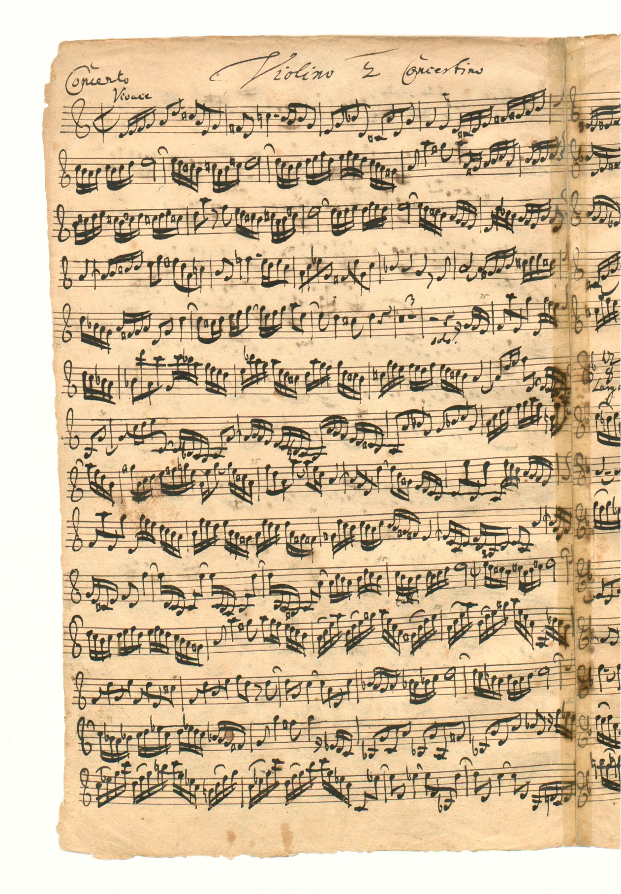 Violin 2