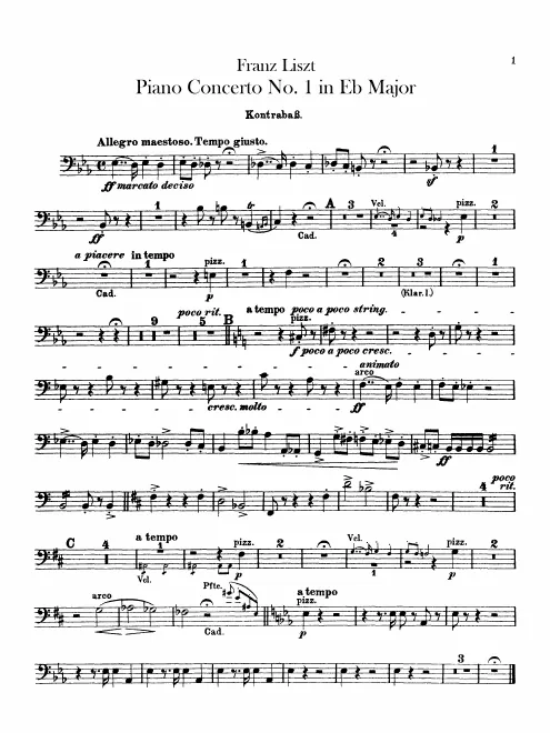 Basses