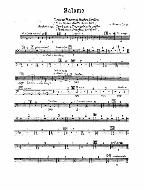 Bass Drum/Cymbals/Tam-Tam/ Tambourine/Triangle/Castanets