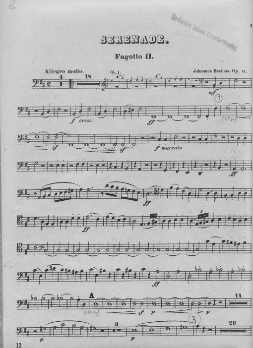 Bassoon 2