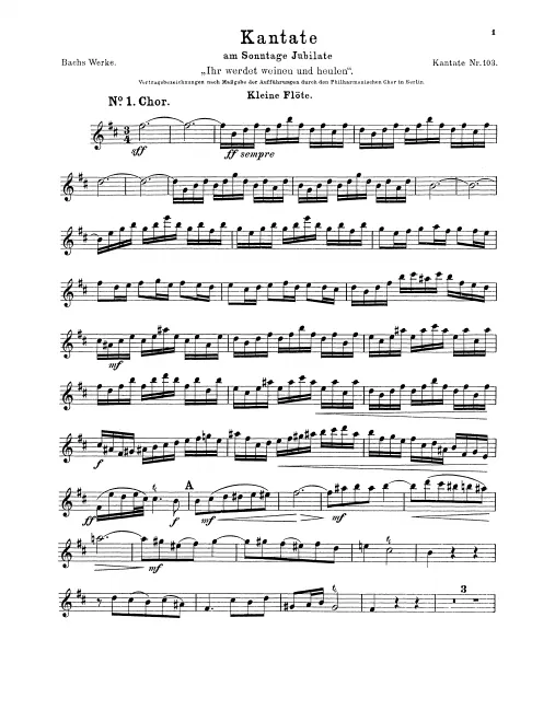 Piccolo, Flute