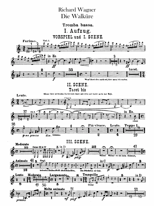 Bass Trumpet (C/D/E)
