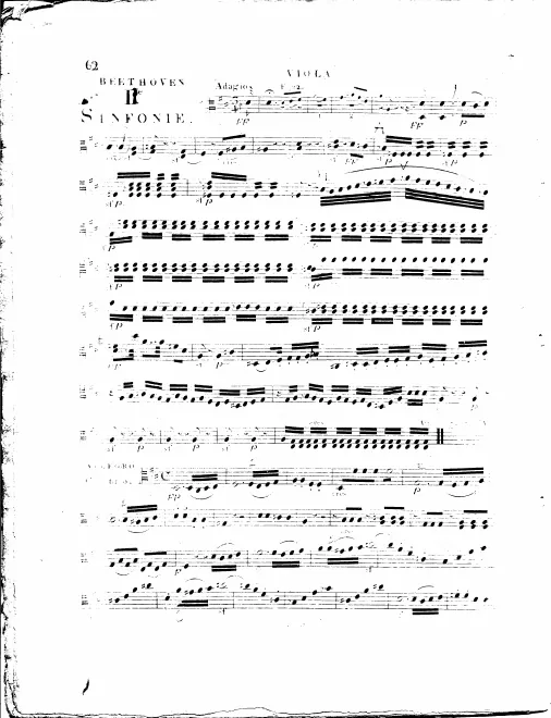 Violas