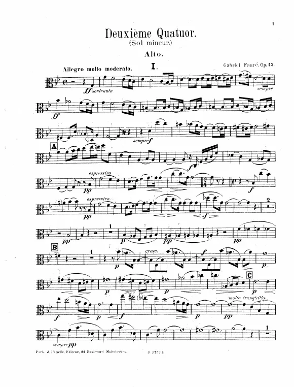 Viola