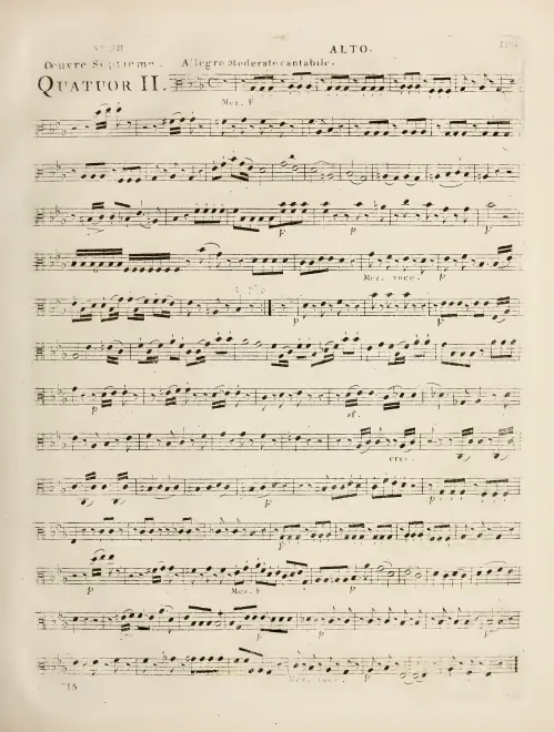 Viola