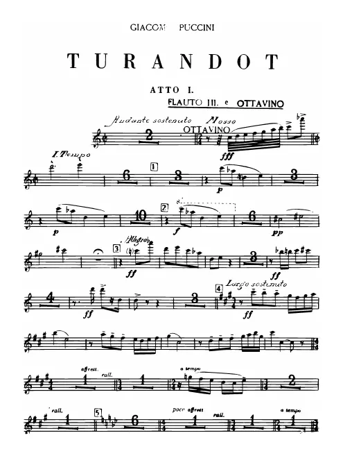 Flute 3/Piccolo