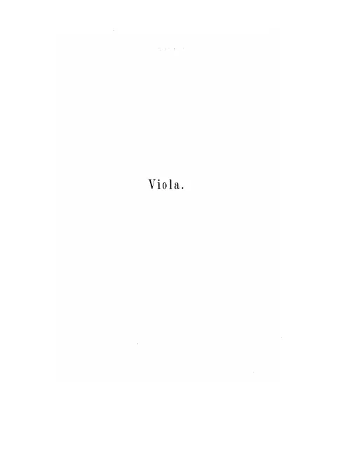 Viola
