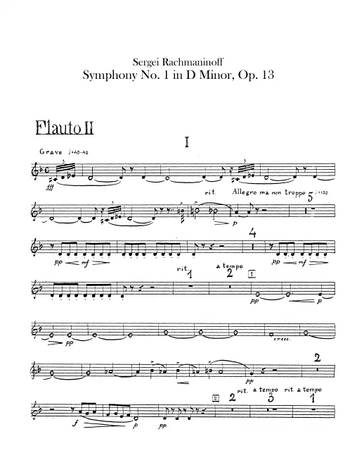 Flute 2