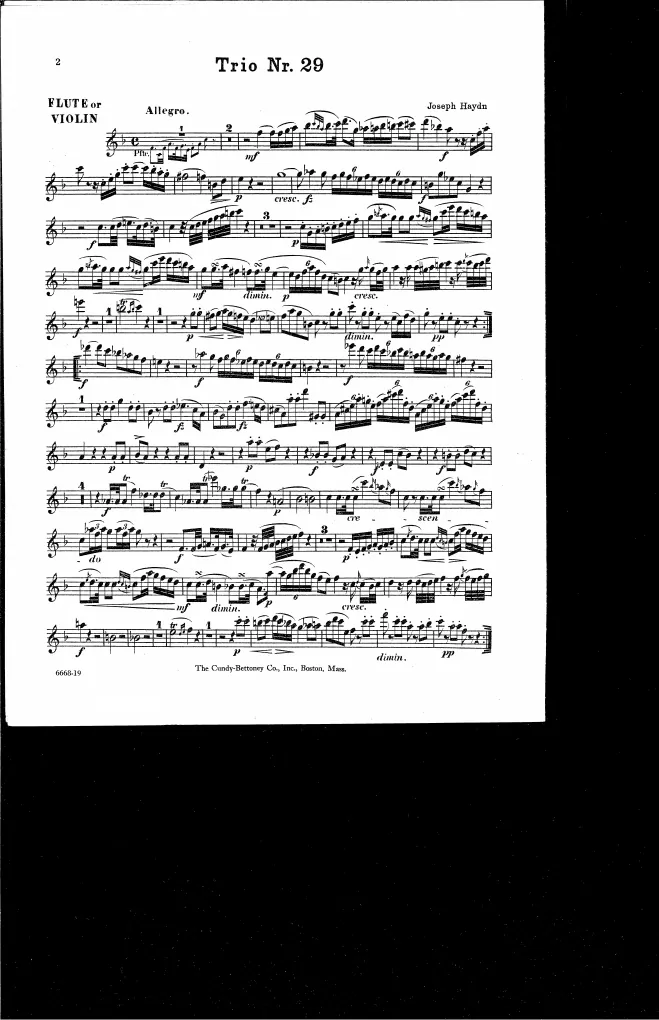 Violin/Flute
