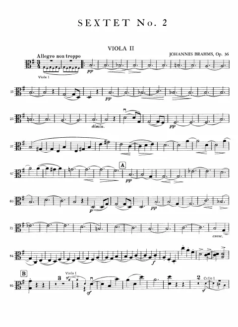 Viola 2