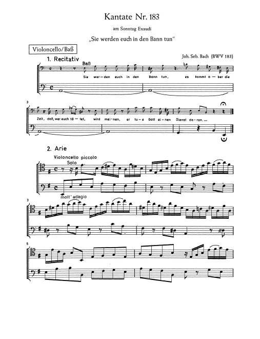 Violoncello Piccolo/Cellos/Basses