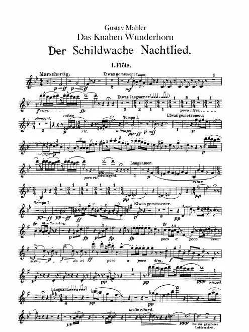 Flute 1