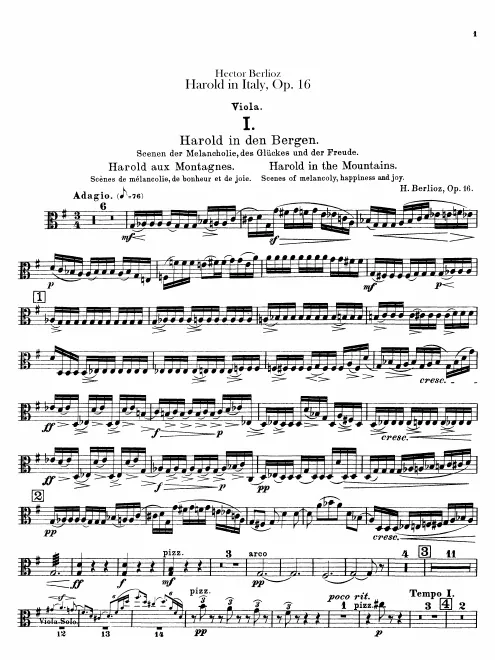 Violas