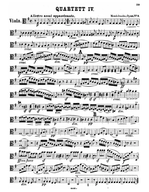 Viola