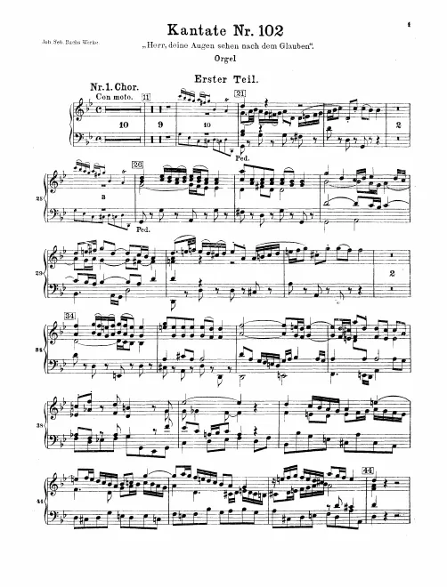 Organ
